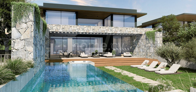 Villa till salu i Ayia Napa