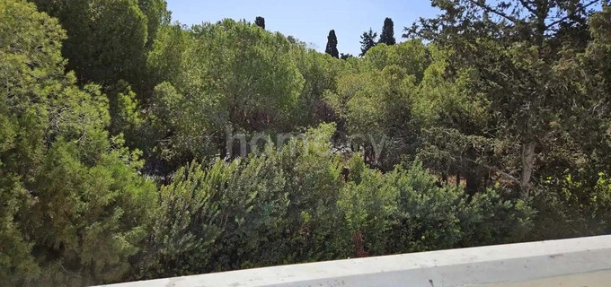 Villa till salu i Larnaca