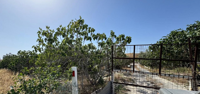 House for sale in Larnaca