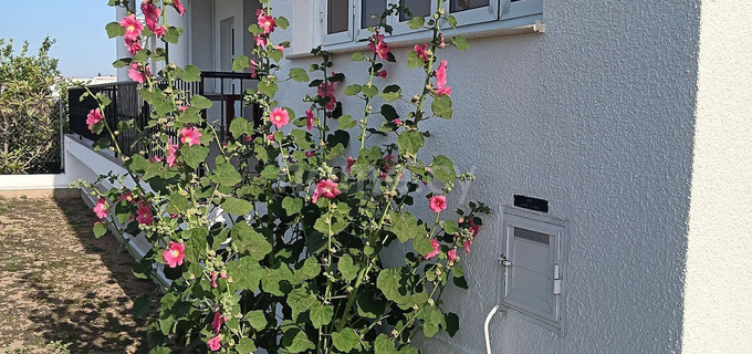 Villa to rent in Larnaca