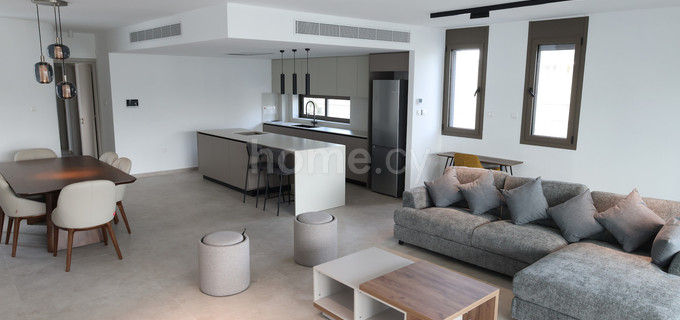 Penthouse apartment to rent in Nicosia