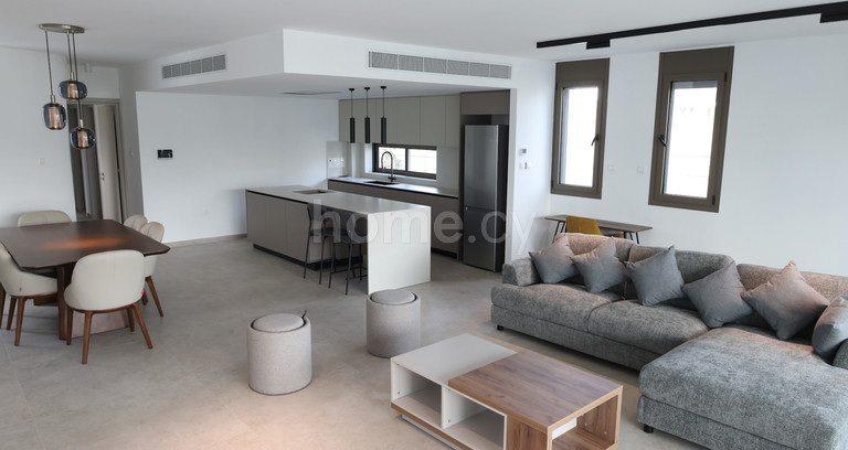 Διαμέρισμα ρετιρέ προς ενοικίαση - Λευκωσία