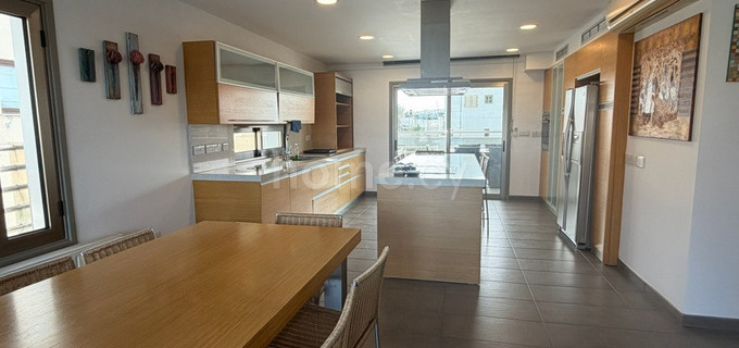 Διαμέρισμα τελευταίου ορόφου προς ενοικίαση - Λευκωσία