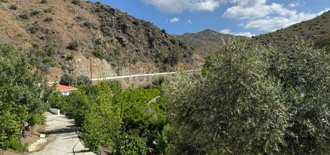 Bungalow na sprzedaż w Limassol