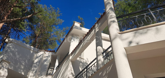 Semi-detached house to rent in Limassol