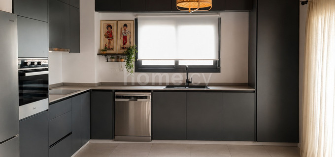Penthouse apartment to rent in Nicosia