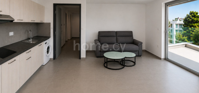 Penthouse apartment to rent in Nicosia