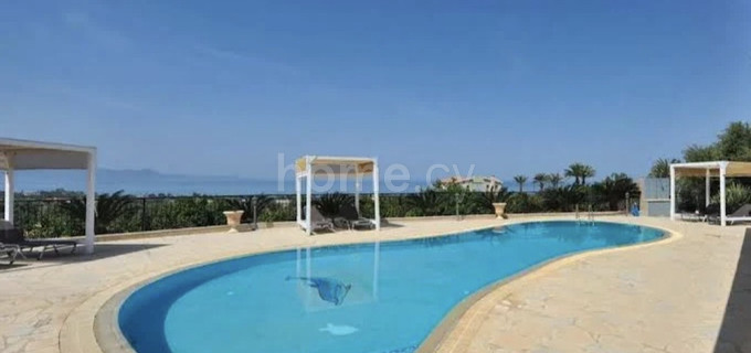 Willa do wynajęcia w Paphos