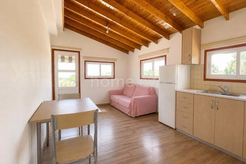 Penthouse apartment to rent in Nicosia